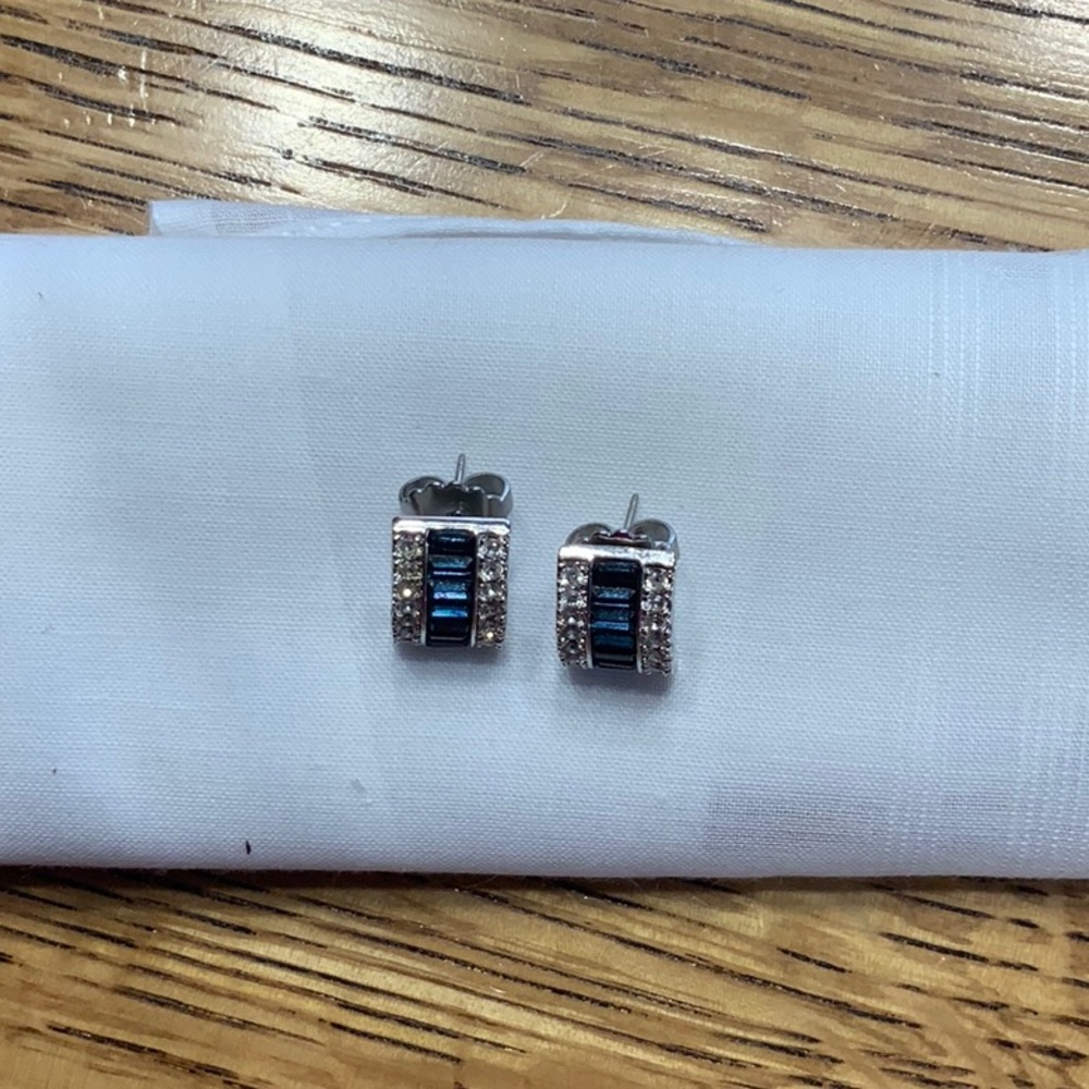 Preimer Elegant Blue and Silver CZ Post Earrings